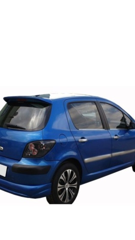 Peugeot 307 Krom Cam Çıtası 2001-2008 Uyumlu
