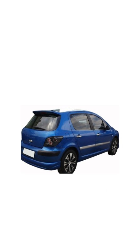 Peugeot 307 Krom Cam Çıtası 2001-2008 Uyumlu