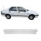 Renault 19 Europa Krom Cam Çıtası 1995-2001 Uyumlu